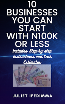 10 Businesses You Can Start With N100k or Less