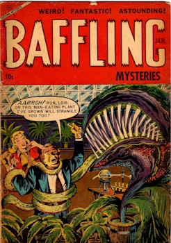 Baffling Mysteries 19