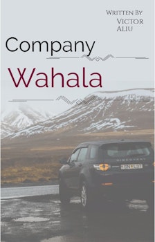 Company Wahala 