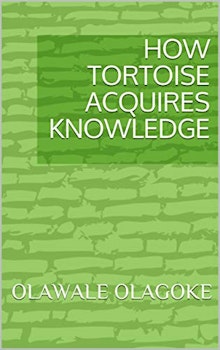 How Tortoise Acquires Knowledge
