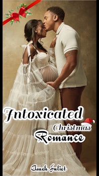 Intoxicated Christmas Romance