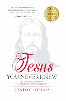The Jesus You Never Knew 