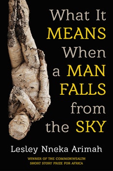 What it Means When a Man Falls from the Sky