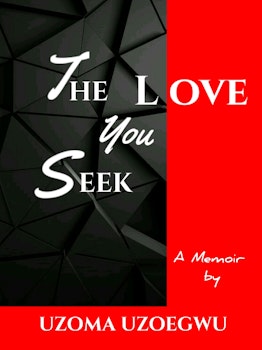 The Love You Seek