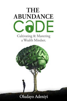 The Abundance Code: Cultivating and Mastering A Wealth Mindset
