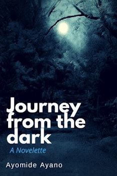 Journey From the Dark