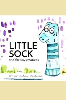 Little Sock and the Tiny Creatures