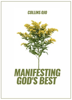 Manifesting God's Best
