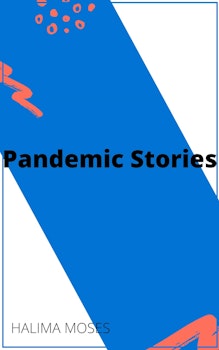 Pandemic Stories